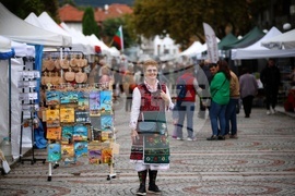 Троян - Български фестивал на сливата