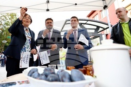 Троян - Български фестивал на сливата