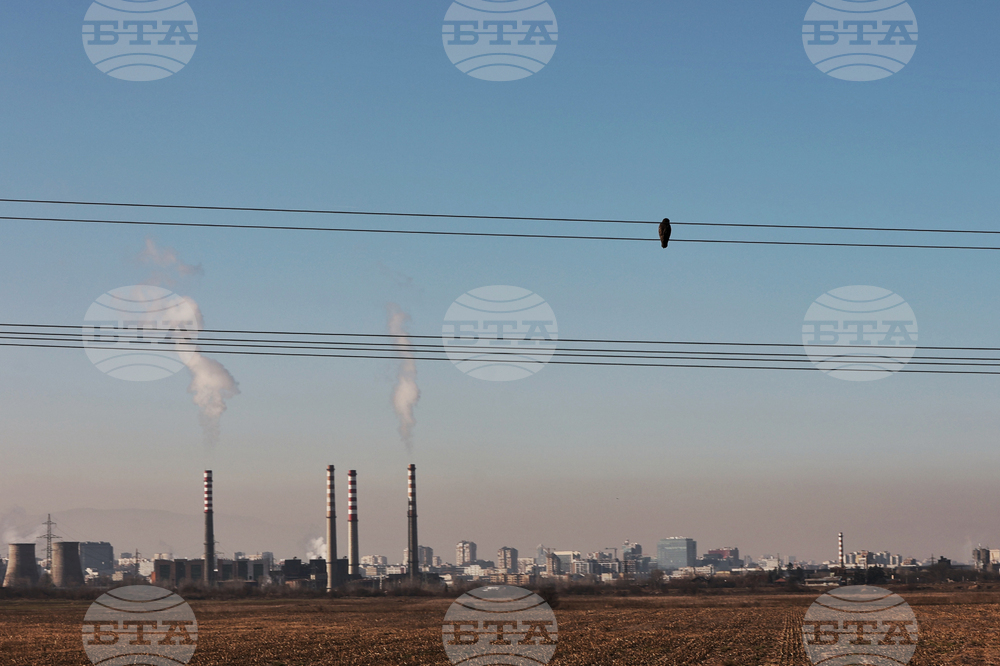 Industrial Producer Prices in Bulgaria Grow by 2% Y/Y in March