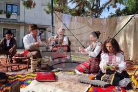 Троян - Български фестивал на сливата