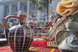 Троян - Български фестивал на сливата