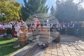 Троян - Български фестивал на сливата