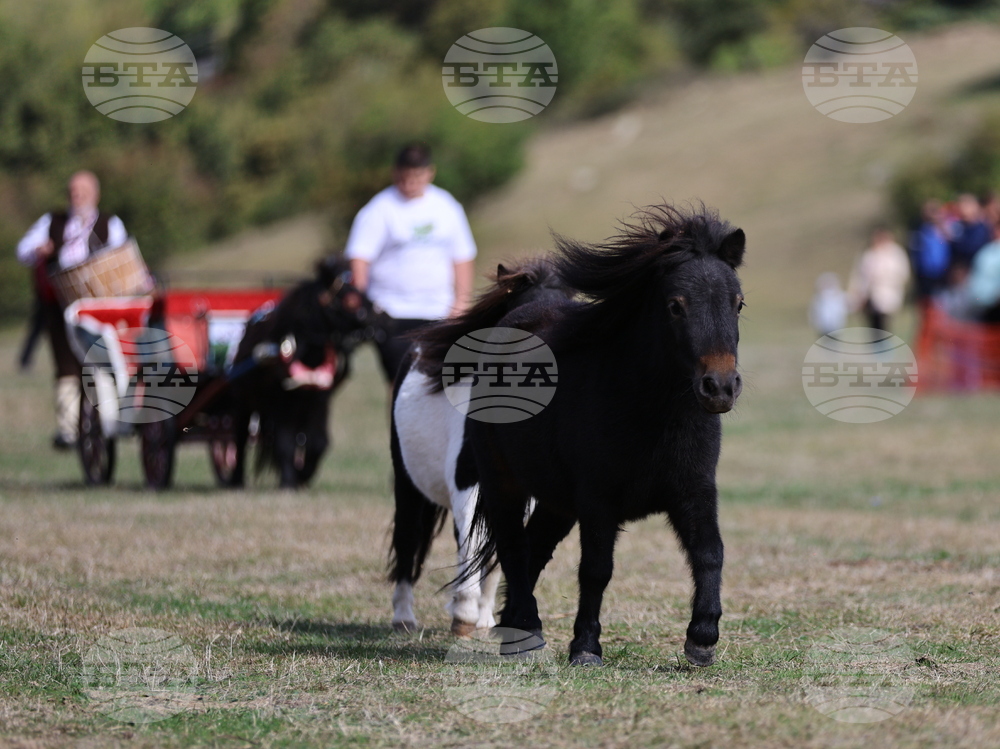 Калофер - Национален събор за опазване на местните български селскостопански породи животни
