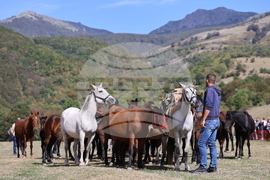 Калофер - Национален събор за опазване на местните български селскостопански породи животни