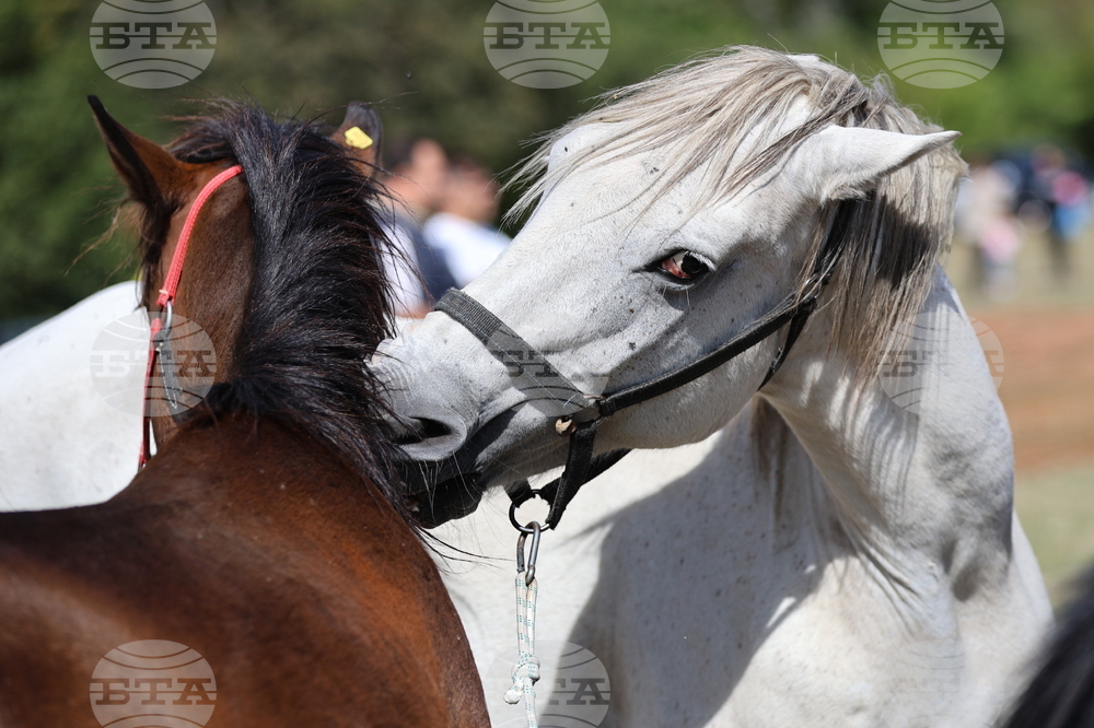Калофер - Национален събор за опазване на местните български селскостопански породи животни