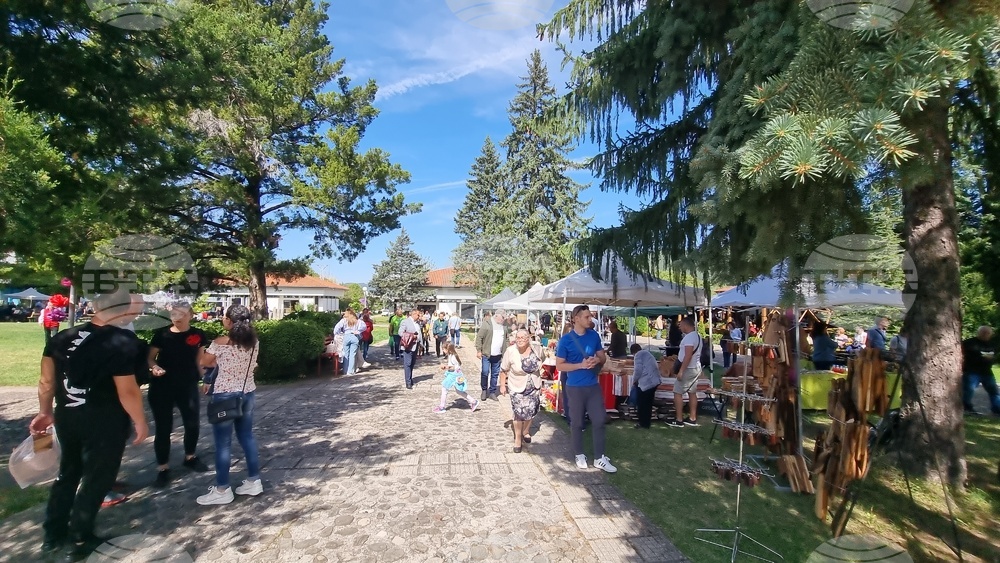 Село Орешак - Български фестивал на сливата