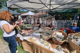 Село Орешак - Български фестивал на сливата