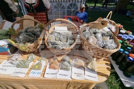 Село Орешак - Български фестивал на сливата