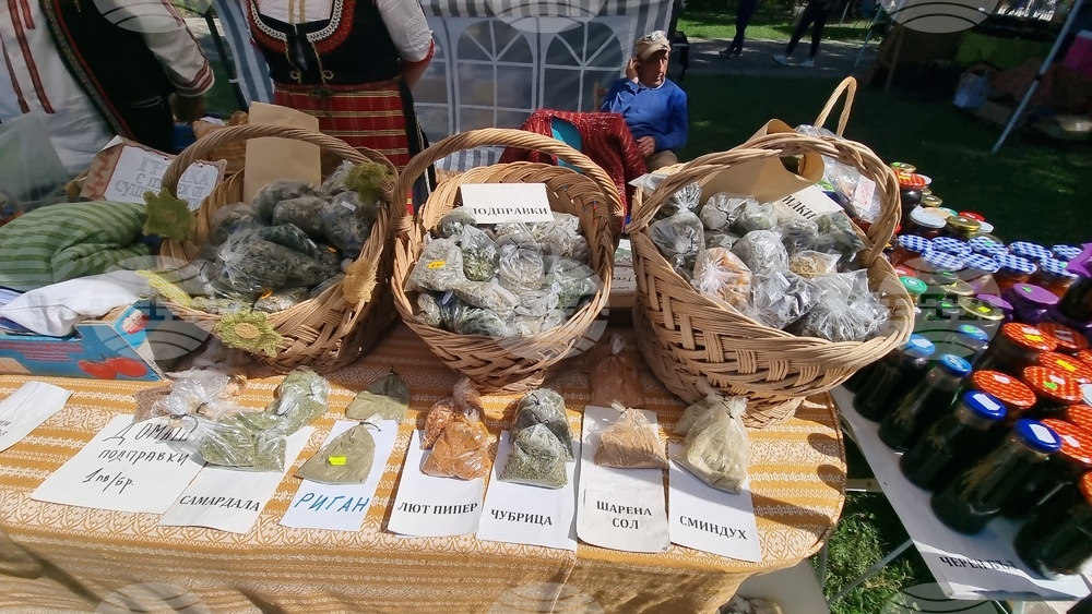 Село Орешак - Български фестивал на сливата
