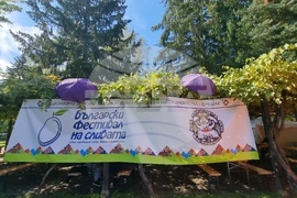 Село Орешак - Български фестивал на сливата