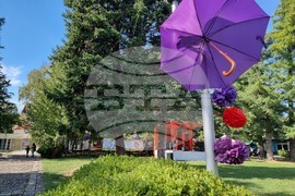 Село Орешак - Български фестивал на сливата