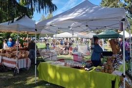 Село Орешак - Български фестивал на сливата