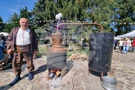 Село Орешак - Български фестивал на сливата