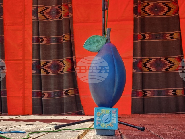 Село Орешак - Български фестивал на сливата