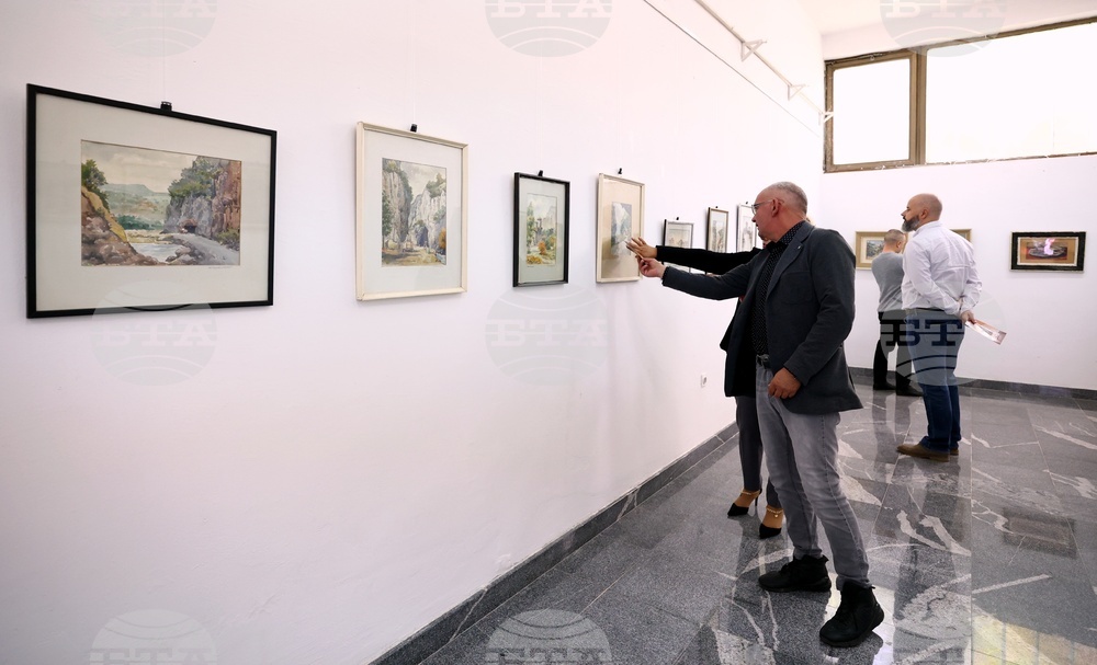 Сърбия - Цариброд - празник - изложба