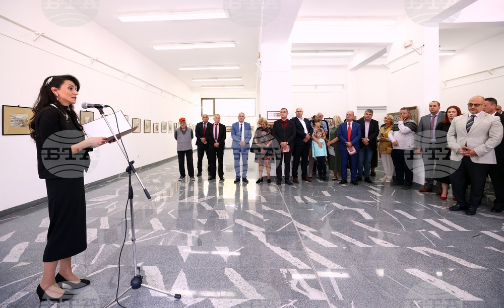 Сърбия - Цариброд - празник - изложба