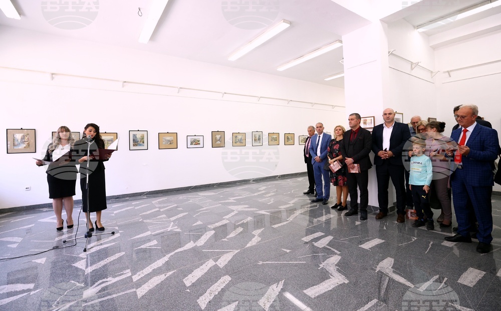Сърбия - Цариброд - празник - изложба