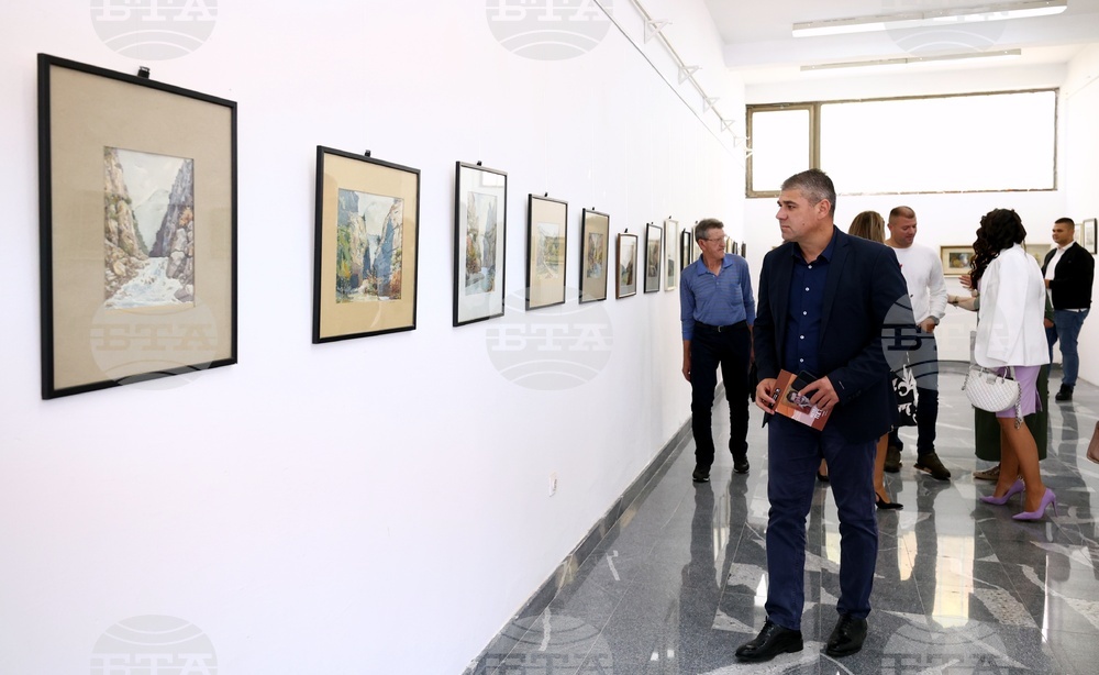 Сърбия - Цариброд - празник - изложба