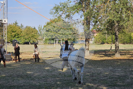 Червена вода - Комитски събор - възстановки