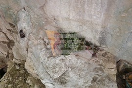 Разград - аязмо - параклис