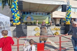 Самоков - Фестивал на самоковския картоф