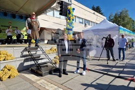 Самоков - Фестивал на самоковския картоф