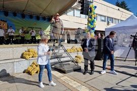 Самоков - Фестивал на самоковския картоф