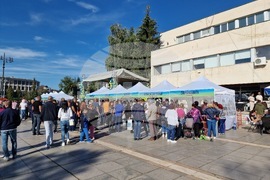 Самоков - Фестивал на самоковския картоф