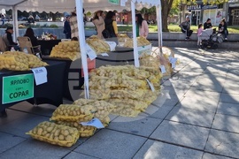 Самоков - Фестивал на самоковския картоф