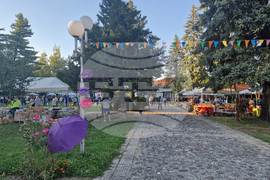 Троян - Орешак - Български фестивал на сливата - концерти - конкурси