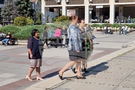 Видин - Ден на независимостта - отбелязване