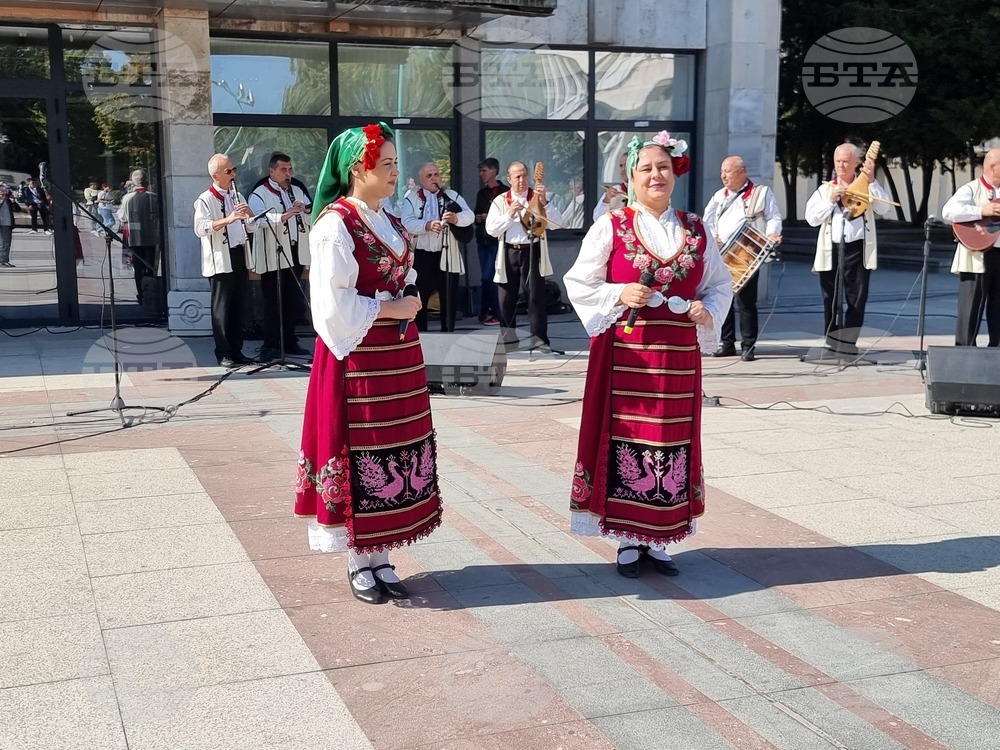 Видин - Ден на независимостта - отбелязване