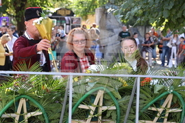 Пловдив - Ден на независимостта - церемония