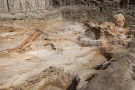 Провадия - Праисторически солодобивен и градски център - Ден на отворените врати