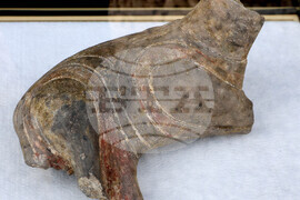 Провадия - Праисторически солодобивен и градски център - Ден на отворените врати