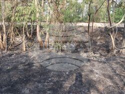 Снимка: Областна администрация – Русе