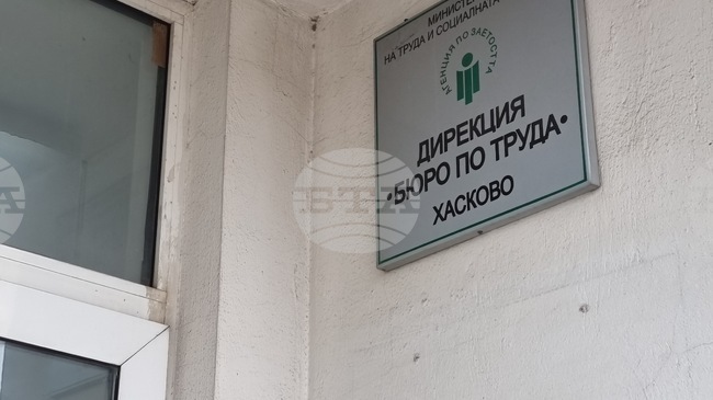 Свободно място за ветеринарен лекар на зоопарка в Хасково е обявено чрез Бюрото по труда 