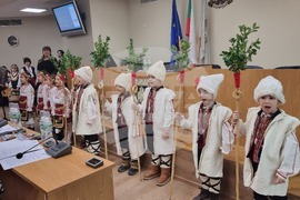 Плевен - коледари - Общински съвет