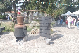 Село Орешак - изложба - рози - Български фестивал на сливата