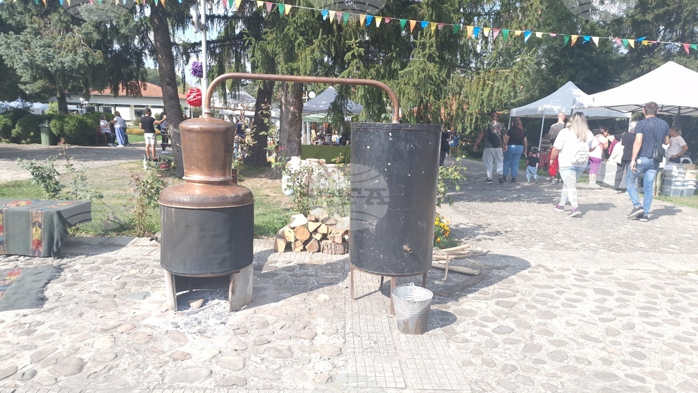 Село Орешак - изложба - рози - Български фестивал на сливата