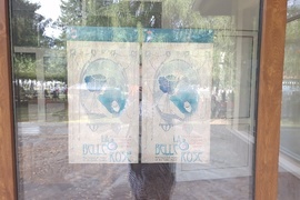 Село Орешак - изложба - рози - Български фестивал на сливата