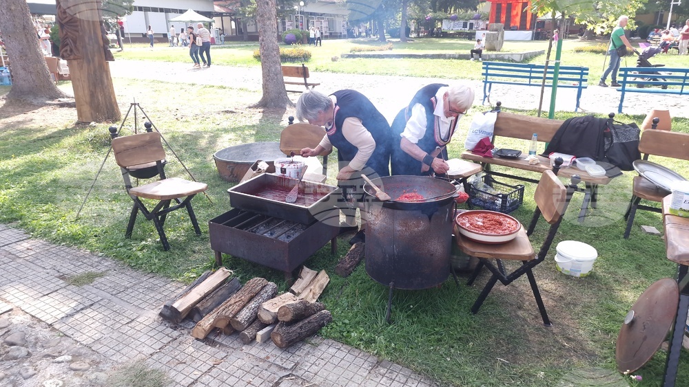 Село Орешак - изложба - рози - Български фестивал на сливата