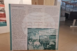 Село Орешак - изложба - рози - Български фестивал на сливата