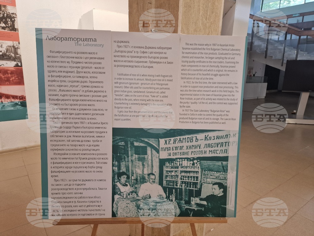 Село Орешак - изложба - рози - Български фестивал на сливата