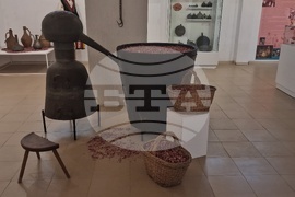 Село Орешак - изложба - рози - Български фестивал на сливата