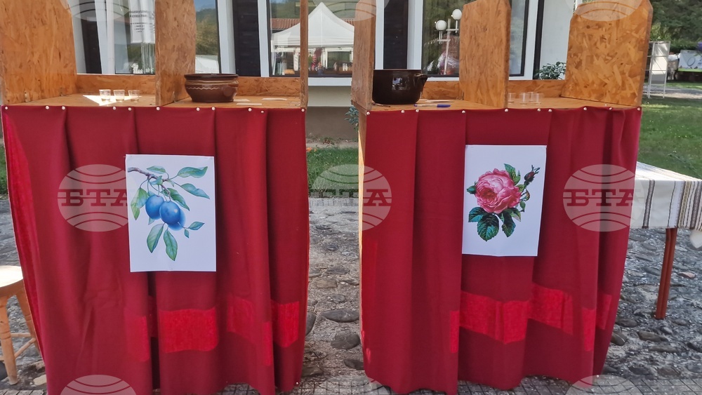 Село Орешак - изложба - рози - Български фестивал на сливата