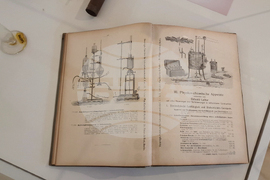 Село Орешак - изложба - рози - Български фестивал на сливата