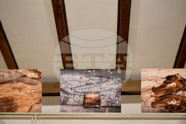 Варна - изложба