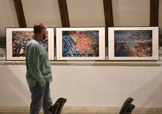 Варна - изложба