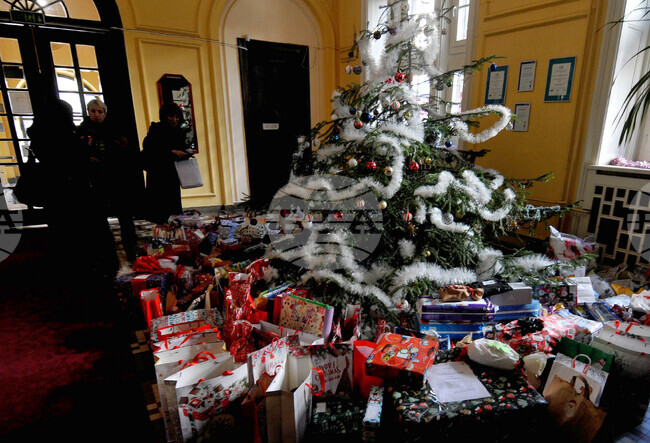 Бургас - "Елха на доброто" - инициатива